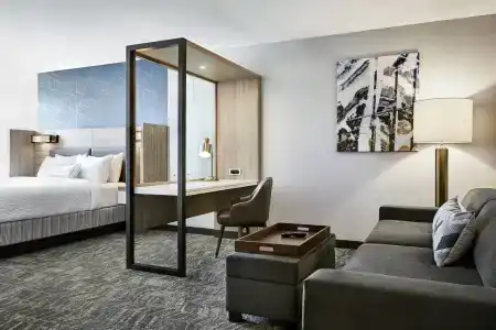 SpringHill Suites by Marriott Orange County - 3