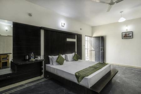 Treebo Silicon Business - 4