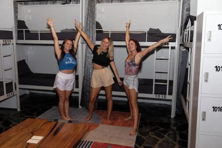 Shiralea Island Resort - 67
