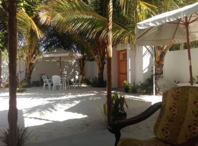 Palm Garden - 13