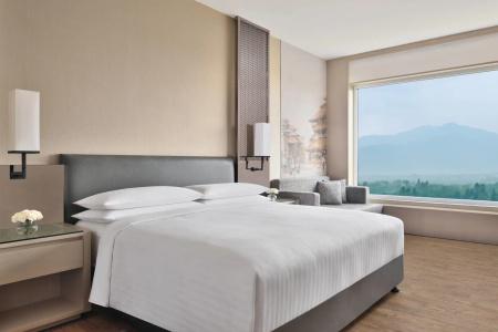 Kathmandu Marriott - 41