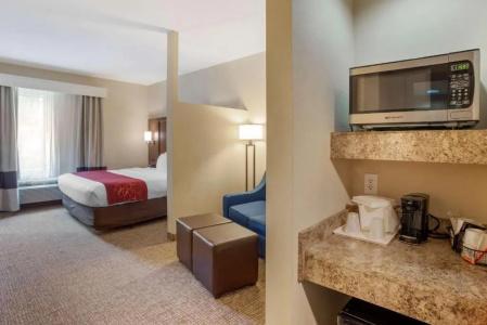 Comfort Suites North - 97
