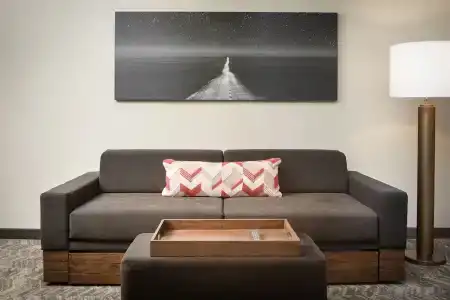 SpringHill Suites by Marriott Dallas Downtown / West End - 45