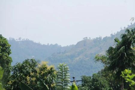 Anura Guest Inn - 37