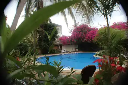 Langi Langi Beach Bungalows - 12