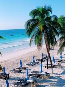 El Paraiso - 18