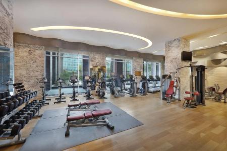The Ritz-Carlton, Dubai International Financial Centre - 12