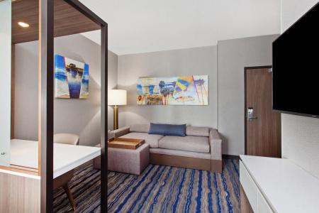 SpringHill Suites by Marriott Orange County - 51