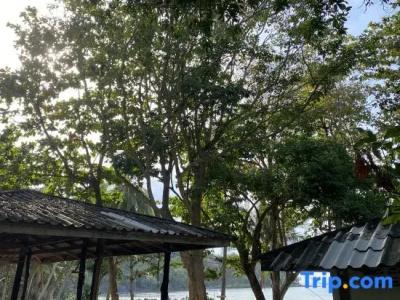 Boyu Yunlong - 564