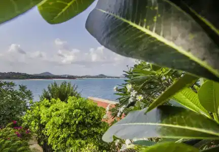 Boujis Boutique Resort - 21