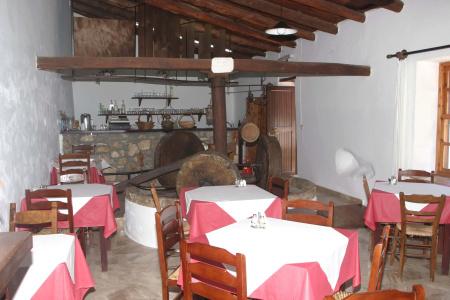 Oasis Guesthouse - 15