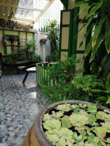 Baan Tepa Boutique House - 9