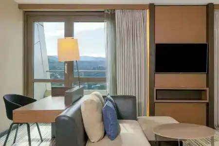 Sheraton Grand Tbilisi Metechi Palace - 59