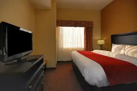 Comfort Suites West I-20 - 48