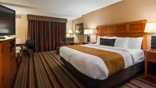 Best Western Plus - 53