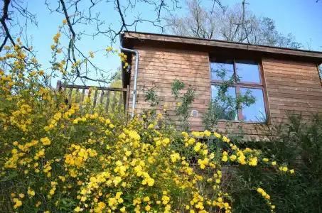 Manoir Du Parc (Adults only) - 9
