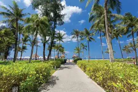 Angsana Laguna Phuket - Sha Extra Plus - 34