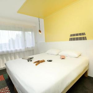 Hôtel ibis Styles Auxerre Nord - 27