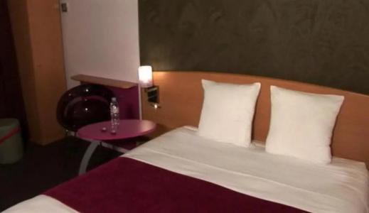 ibis Styles Bourg en Bresse - 39
