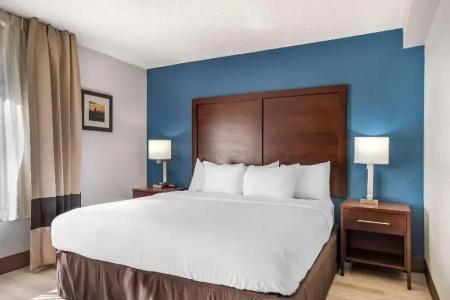 Comfort Inn Charlotte Airport Uptown - 71