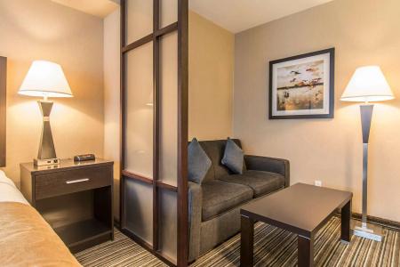 Comfort Suites Downtown - 3