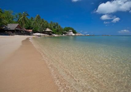 Sensi Paradise Beach Resort - 7