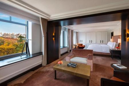The Ritz-Carlton New York, Central Park - 47