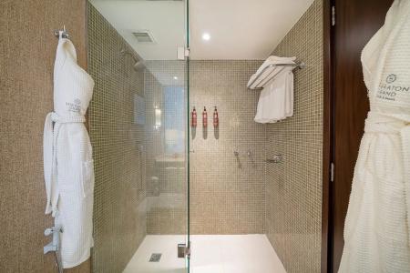 Sheraton Grand Rio & Resort - 92
