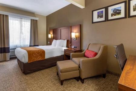 Comfort Suites Walnut Creek - 59