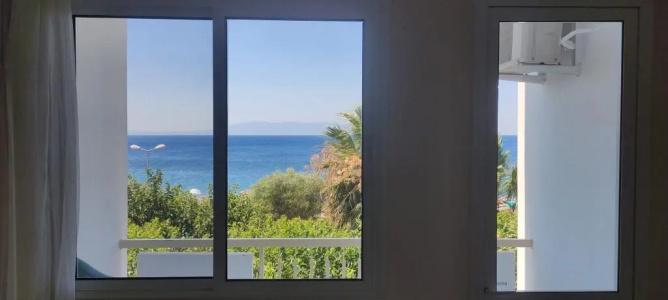Palmiye - 5