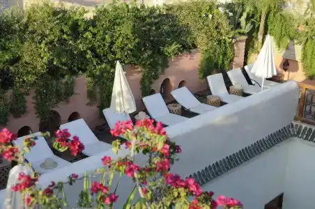 Riad Les Trois Palmiers El Bacha - 22