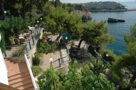 Paradise - 12