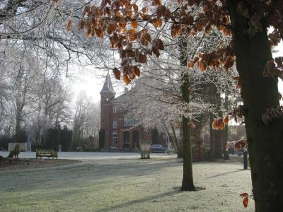 Lodewijk Van Male - 7
