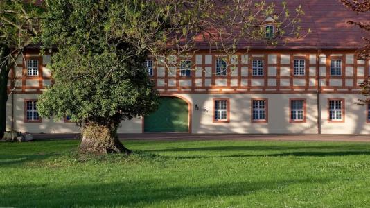 Schloss Luebbenau - 113