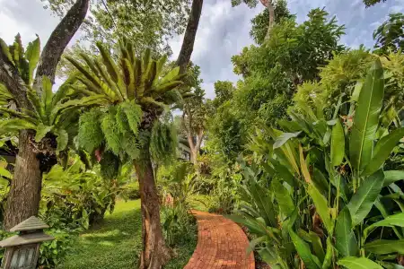 Mangosteen Ayurveda & Wellness Resort - Sha Plus - 23