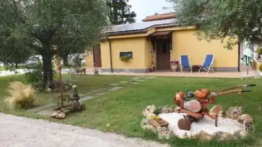 L'Antico Vigneto - 2
