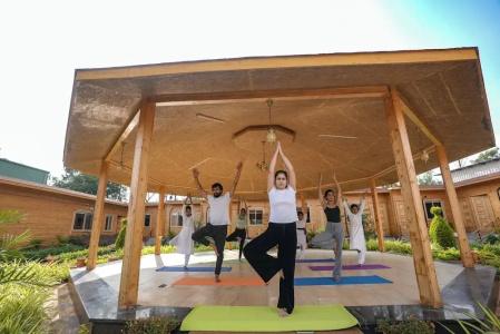 Brahmi Wellness Retreat & Spa - 24