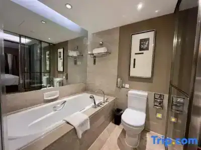 Sofitel Nanjing Galaxy - 77