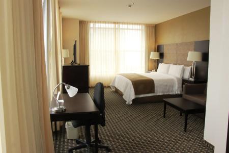 Holiday Inn Mexico Santa Fe, An Ihg - 9