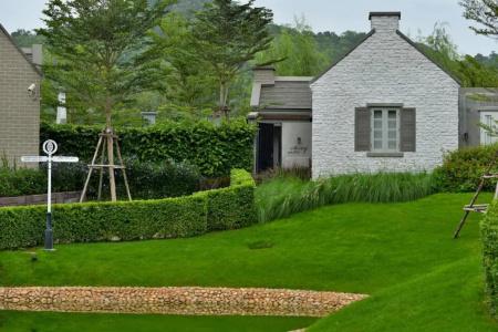 Thames Valley Khao Yai - Sha Plus - 178