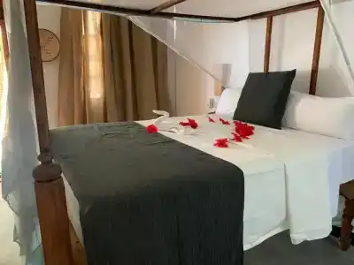 Nest Style Beach Zanzibar - 39