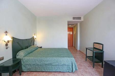 Kaktus Albir - 49
