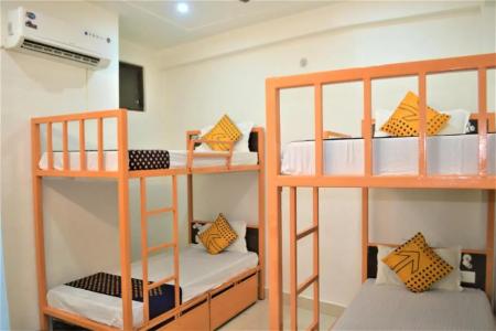 Bedweiser Backpackers - 28