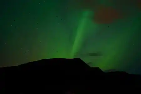 Arctic Nature - 7