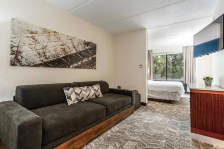 SpringHill Suites by Marriott Austin Northwest/The Domain Area - 46