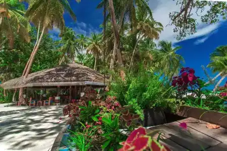 Yash Nature Resort (ex. Aaaveee Natures Paradise) - 35