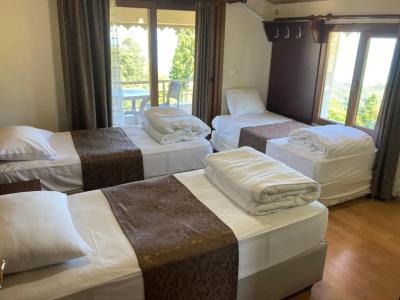 Zarha Mountain Resort - 105