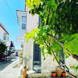 Lupa AlaÇAti - 0