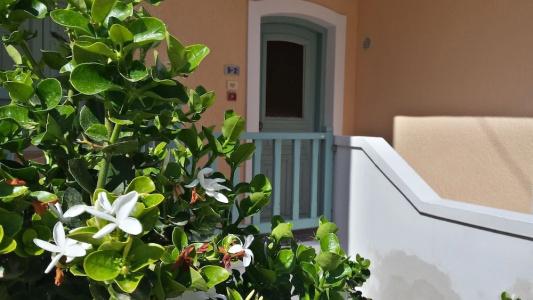Amazones Village Suites - 159