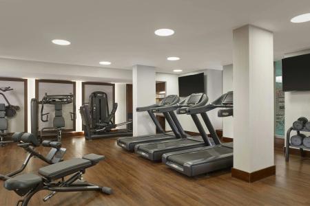 The Ritz-Carlton, Vienna - 46